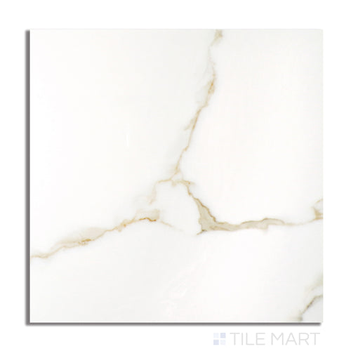 Aston Gold 48X48 Polished Porcelain