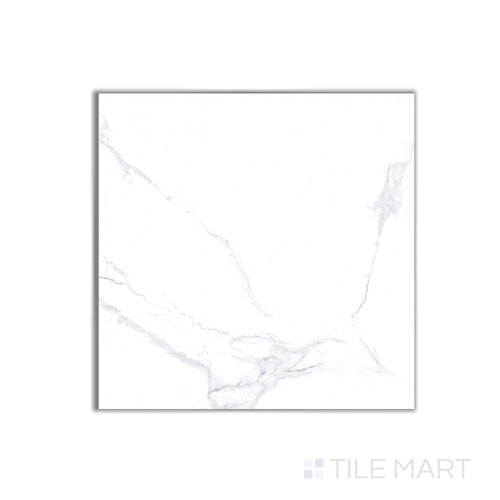 Select White Carrara White 24X24 Polished Porcelain