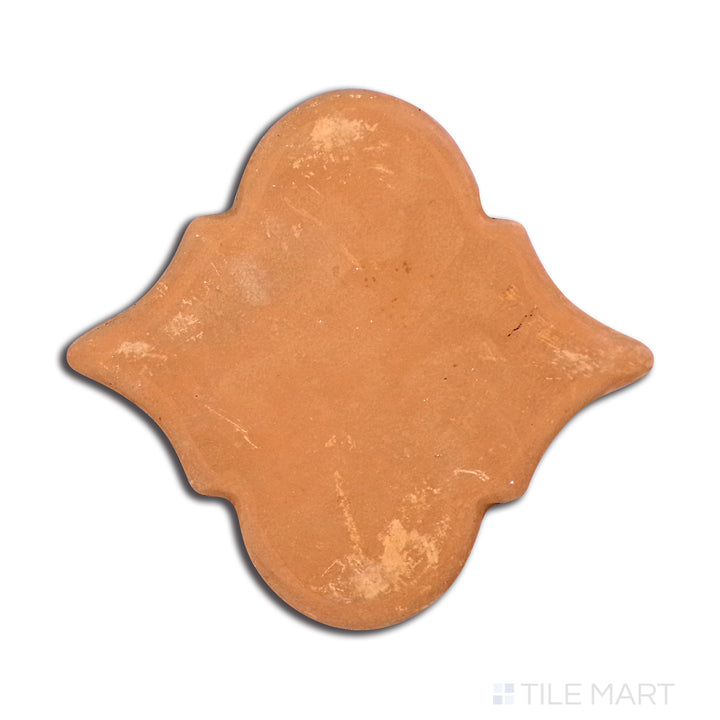 Close-up top-down view of Lincoln Pavers Red 8X9 Riviera Natural Terracotta, showcasing a handcrafted look with rich red hues.