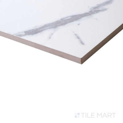 Select White Carrara Porcelain Field Tile 24X24 Matte