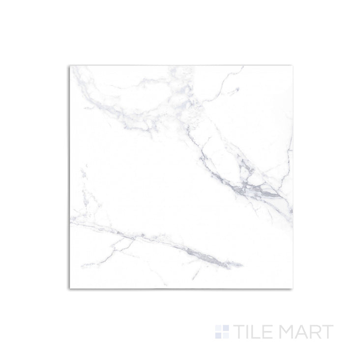 Select White Carrara Porcelain Field Tile 24X24 Matte