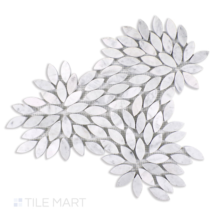 Flat lay of Sto-Re Carrara Floral Polished Marble Mosaic, highlighting a white marble mosaic with delicate floral-inspired designs for a classic look.