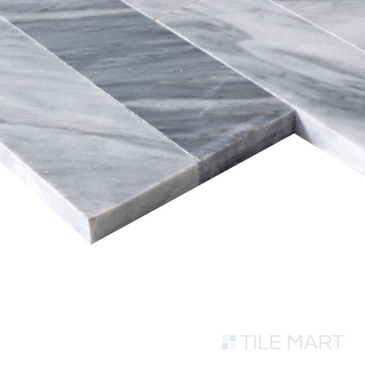 Sto-Re Culture Pattern Marble Mosaic 6X24 Bardiglio Polished