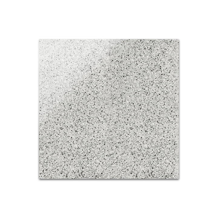 Angled shot of Rialto Silver 24x24 polished porcelain tile, featuring refined silver hues, a glossy reflective finish, and a modern square layout.  