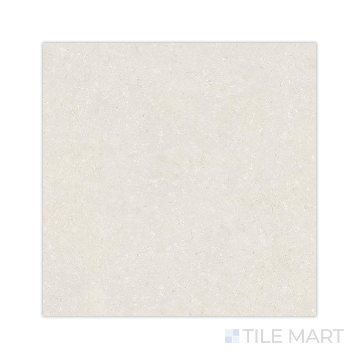 A warm sandy texture is showcased in this close-up of Pietra Coral Sand 48x48 matte porcelain tile, capturing its natural tone and velvety matte finish.