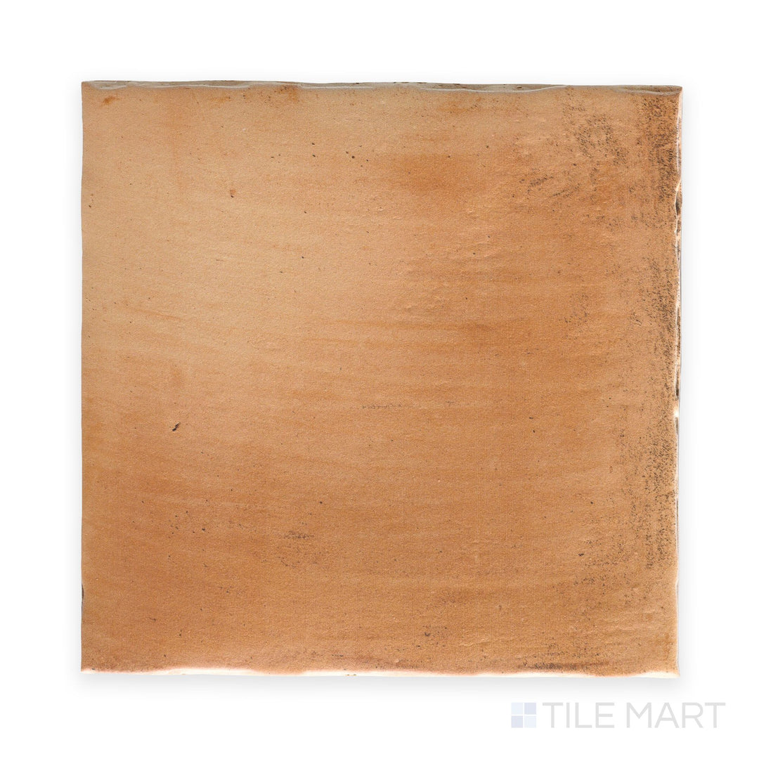 Top-down view of a single Fuego Antic 18x18 matte porcelain tile, showing its rustic surface character and natural earth-tone variation.