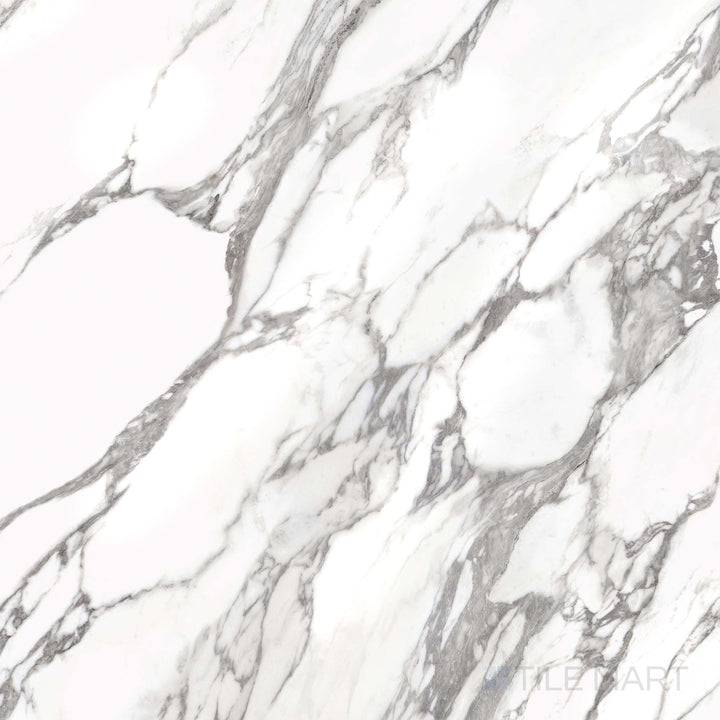 Flat composition of Prestigio Arabescatto 48x48 polished stone tiles, showing dramatic gray veining over a bright, polished marble-style surface.