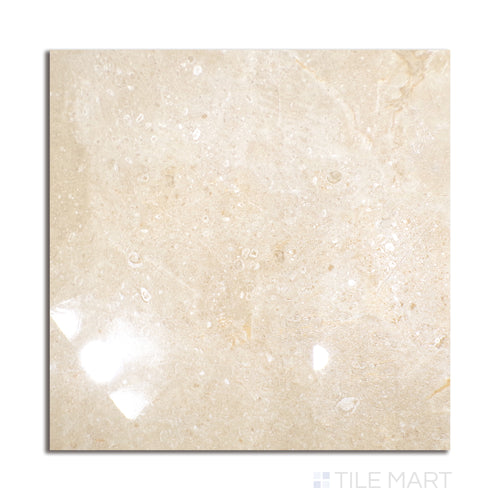 Polished Stone Atenas 24X24 Porcelain