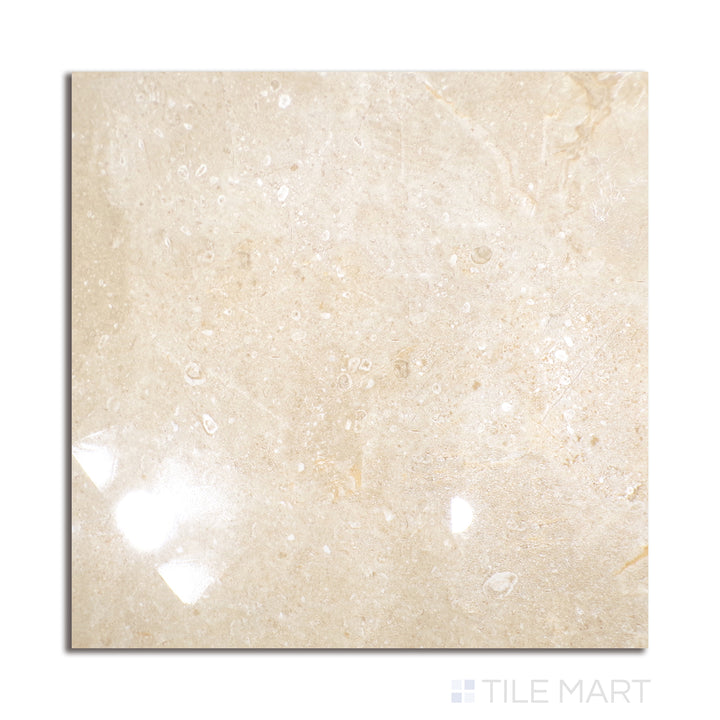 Overhead shot of Polished Stone Atenas 24x24 porcelain tile with warm stone-inspired pattern and reflective polished surface.