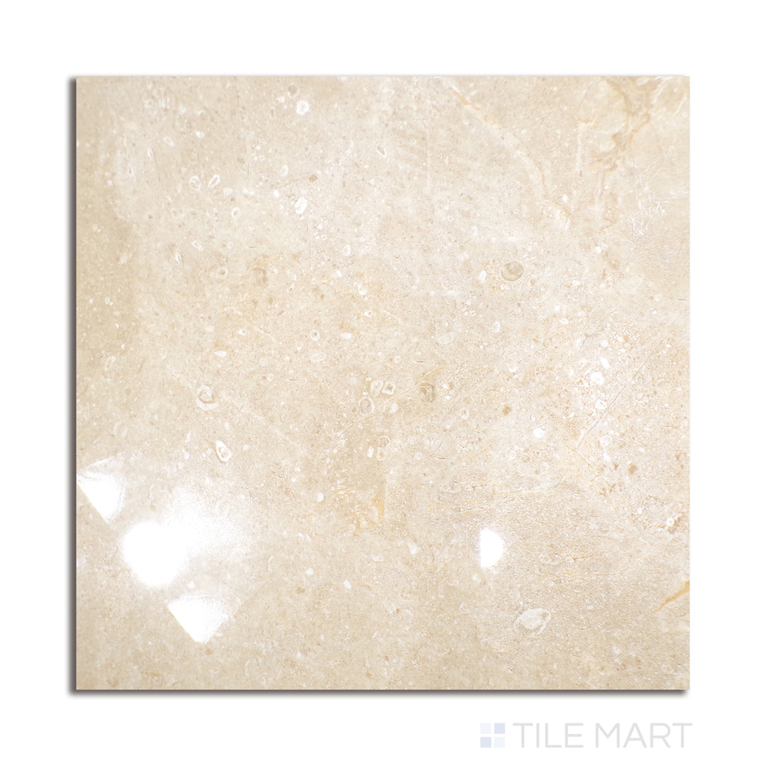 Overhead shot of Polished Stone Atenas 24x24 porcelain tile with warm stone-inspired pattern and reflective polished surface.