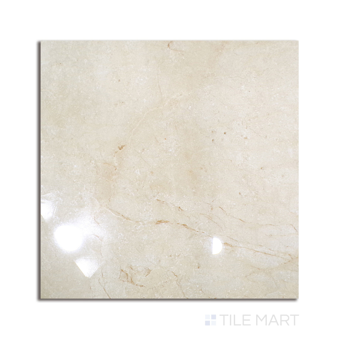 Flat lay of Polished Stone Turin 24x24 porcelain tile, displaying intricate natural stone detailing with a shiny polished finish.