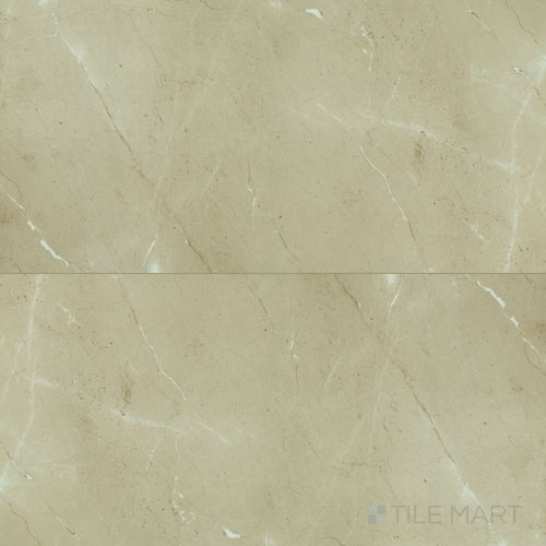 Prestigio Arcadia 24X48 Matte Porcelain