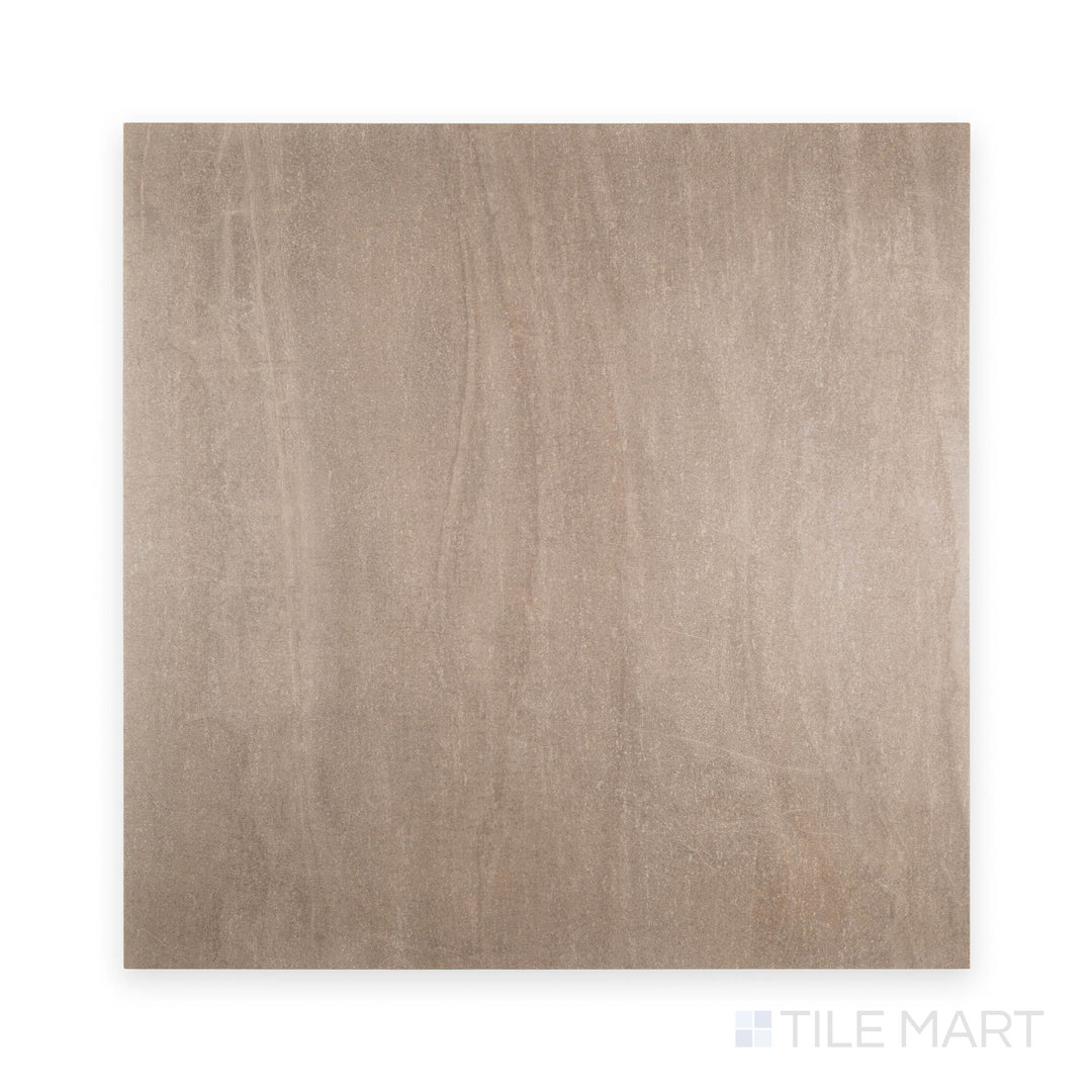 Top view of Landscape Silver 24x24 matte porcelain tile featuring cool gray hues and a natural stone-like appearance.