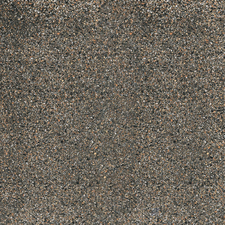 Rialto Earth 24x24 polished porcelain tile showcasing rich tones and a sleek contemporary feel