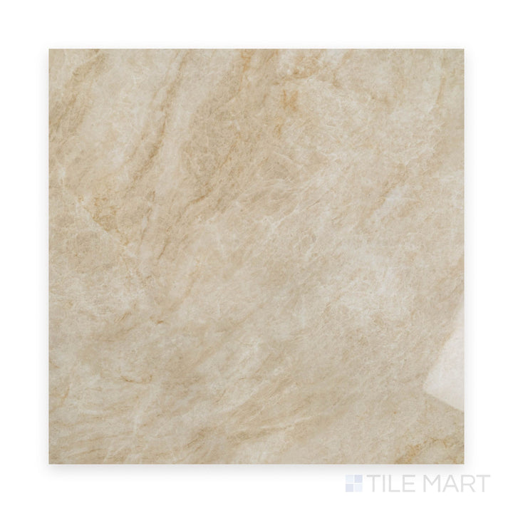 Tal Mahal Nature 48X48 Polished Porcelain