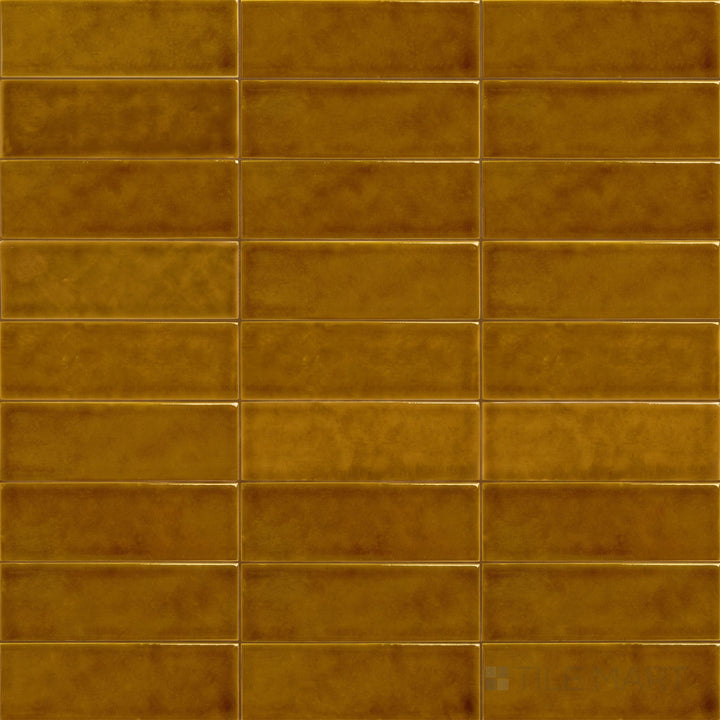 Amarcord Ambra 2X6 Glossy Porcelain Subway Tile