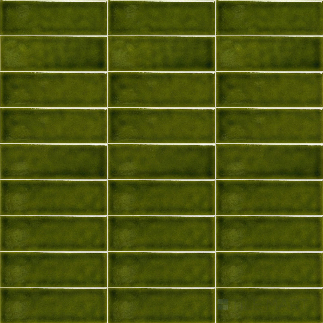 Amarcord Bosco 2X6 Glossy Porcelain Subway Tile
