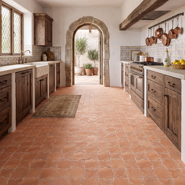 Saltillo Star brings an earthy, natural texture character to a natural paver design.