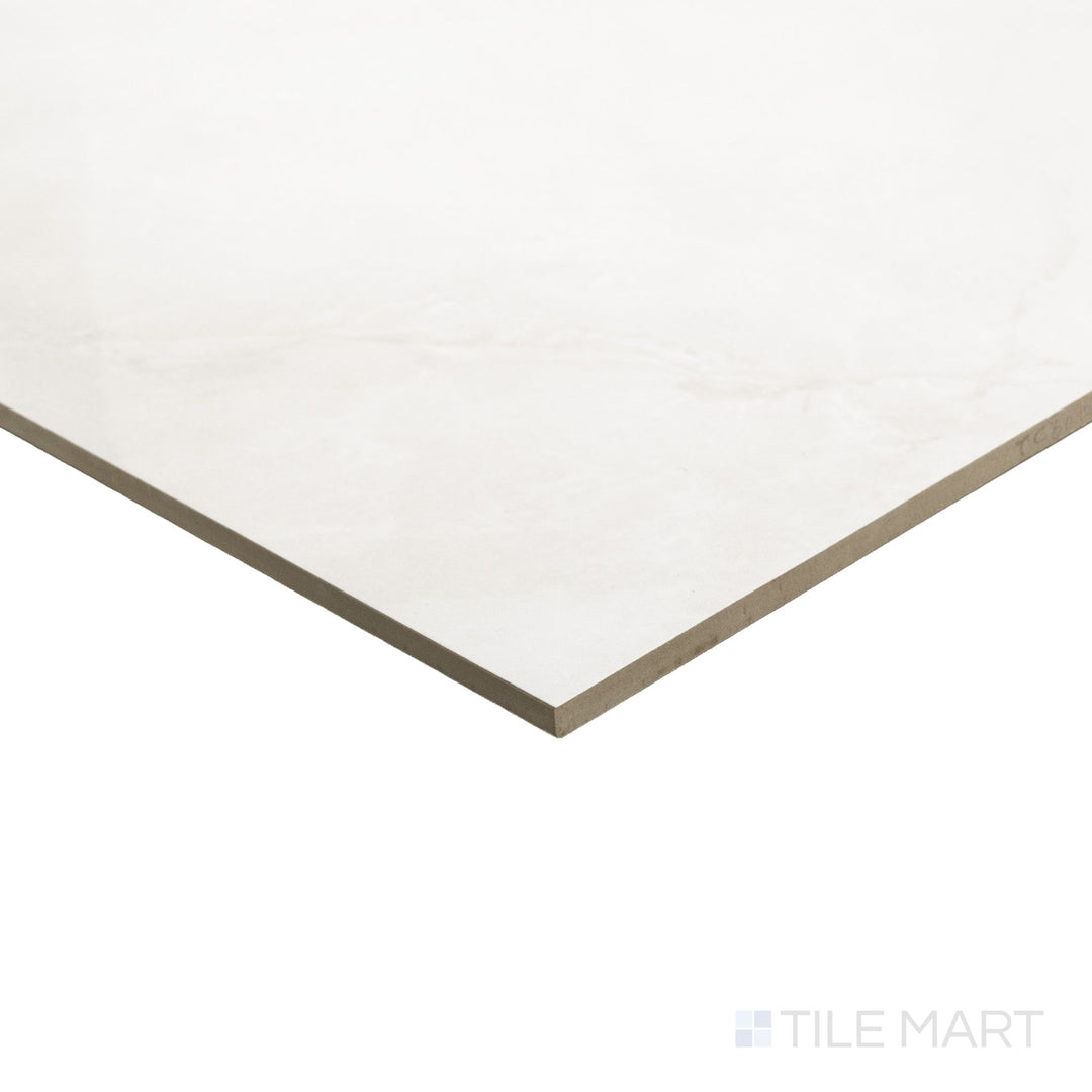 Roma Dozza White 24X48 Polished Porcelain Tile