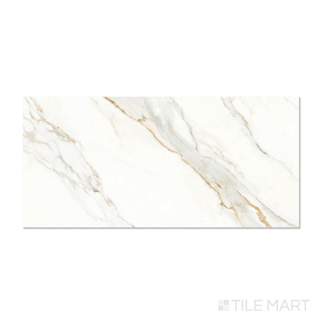 Roma Carrara Gold 24X48 Polished Porcelain Tile