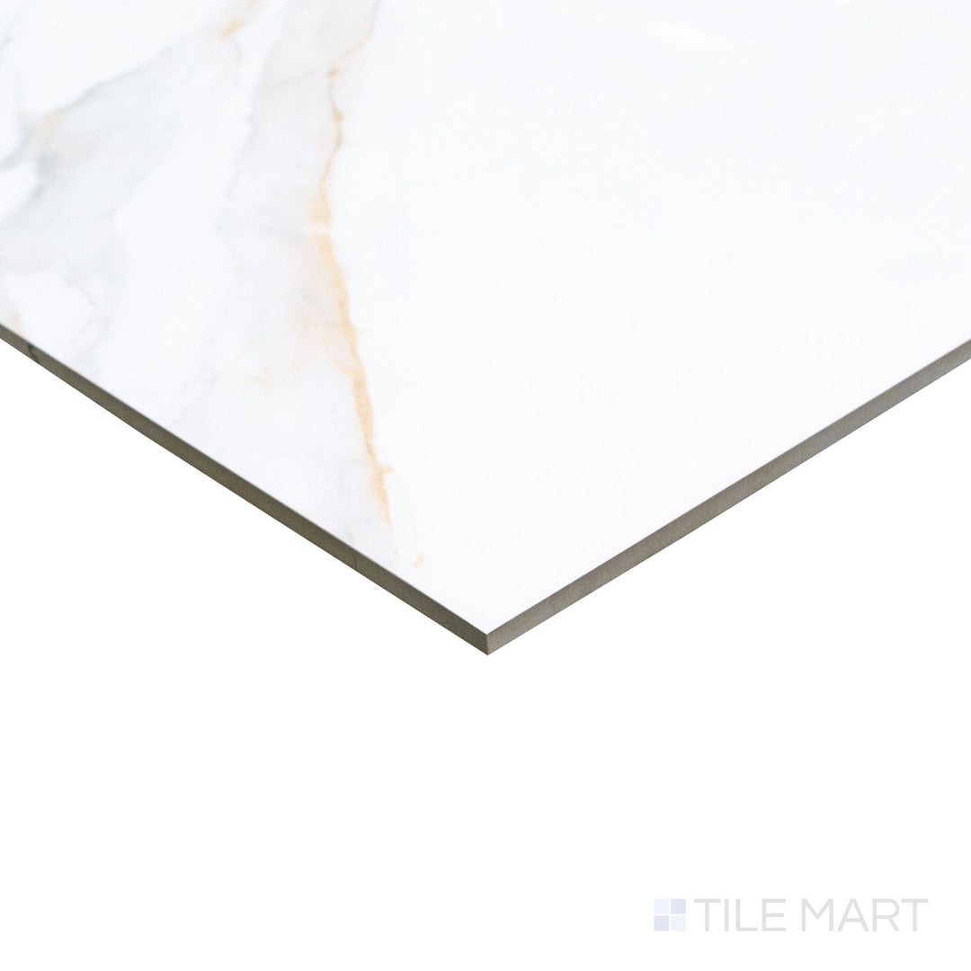 Roma Carrara Gold 24X48 Polished Porcelain Tile