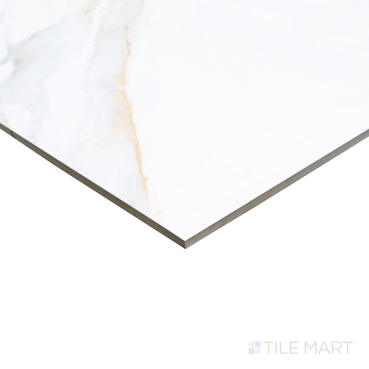 Roma Carrara Gold 24X48 Polished Porcelain Tile