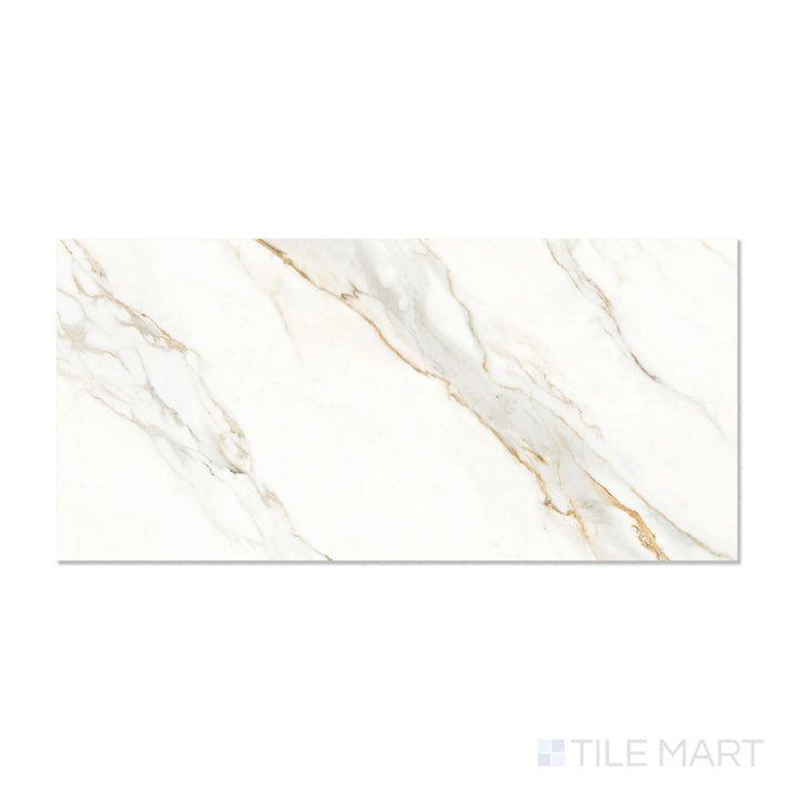 Roma Carrara Gold 24X48 Matte Porcelain Tile