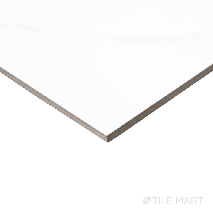 Roma Carrara Gold 24X48 Matte Porcelain Tile