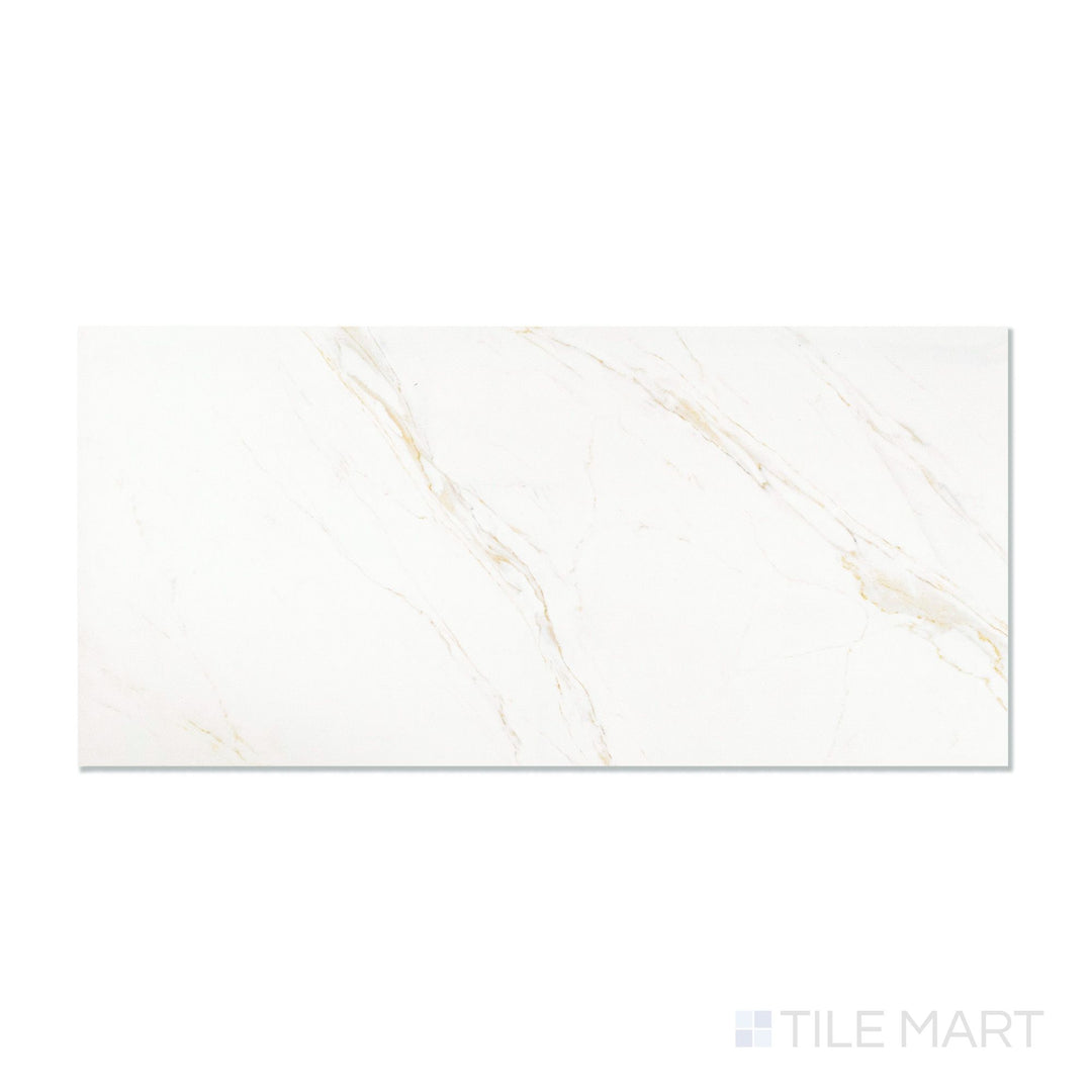 Roma Calacatta Rome  24X48 Polished Porcelain Tile