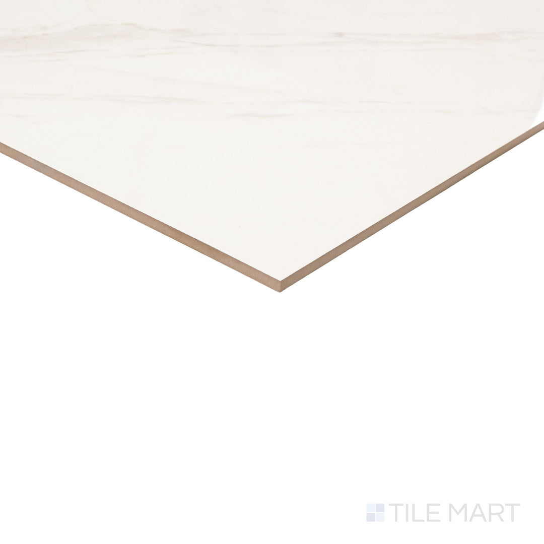 Roma Calacatta Rome  24X48 Polished Porcelain Tile