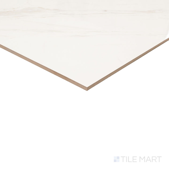 Roma Calacatta Rome  24X48 Polished Porcelain Tile