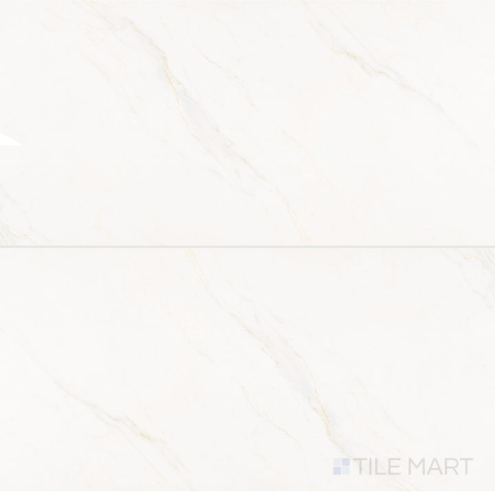 Roma Calacatta Rome 24X48 Matte Porcelain Tile