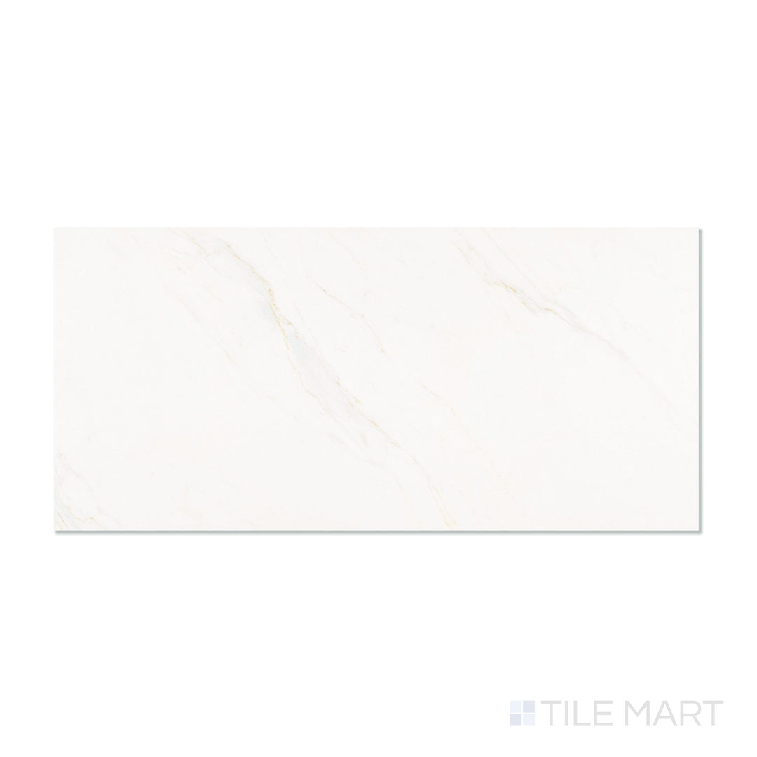 Roma Calacatta Rome 24X48 Matte Porcelain Tile