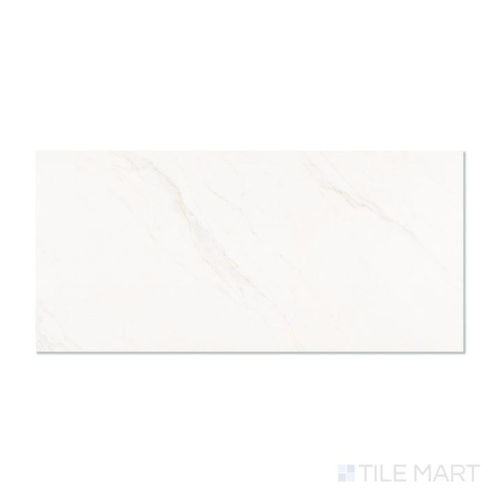 Roma Calacatta Rome 24X48 Matte Porcelain Tile