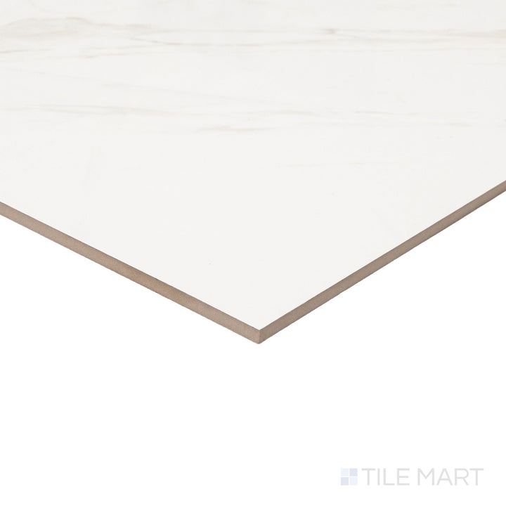 Roma Calacatta Rome 24X48 Matte Porcelain Tile
