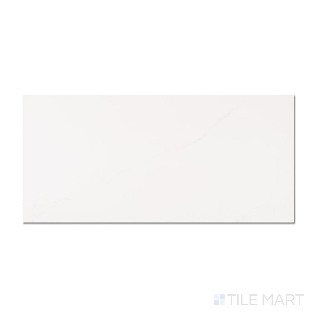 Roma Statuario 24X48 Matte Porcelain Tile
