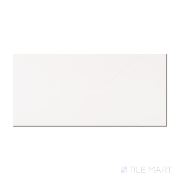 Roma Statuario 24X48 Matte Porcelain Tile