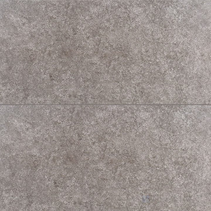 Roma Darello Medium Grey 24X48 Textured Porcelain Tile