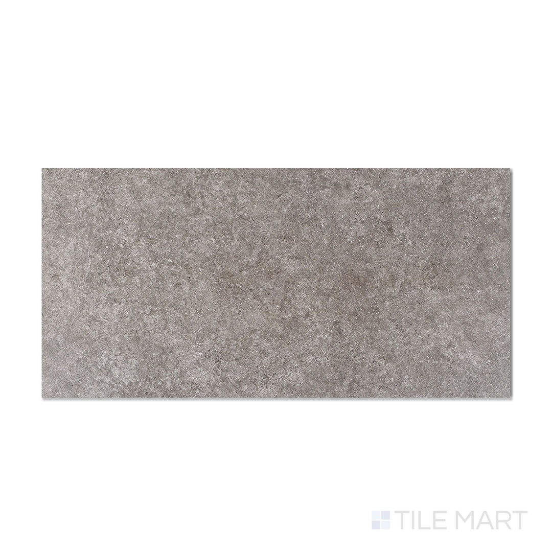 Roma Darello Medium Grey 24X48 Textured Porcelain Tile