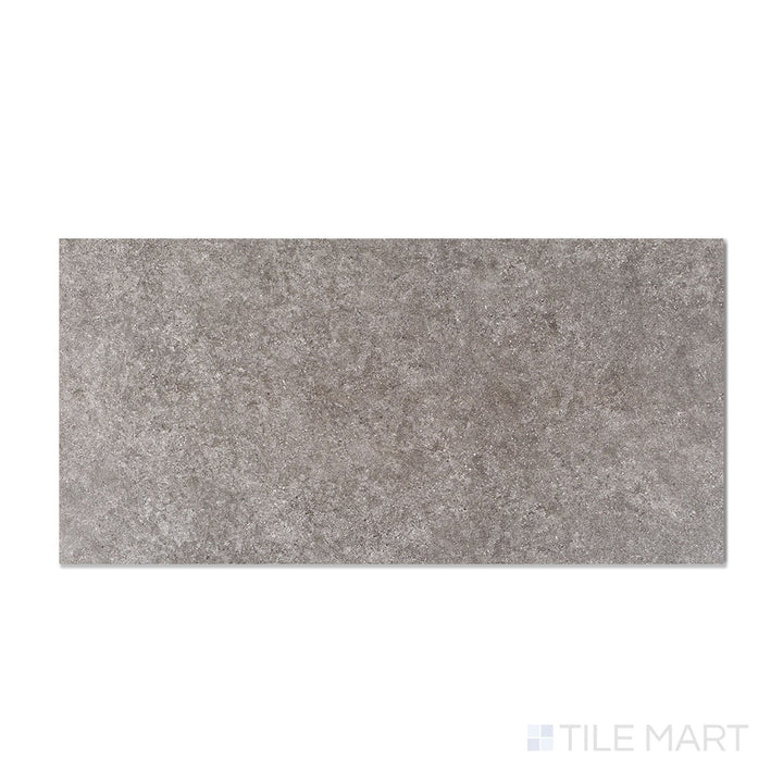 Roma Darello Medium Grey 24X48 Textured Porcelain Tile