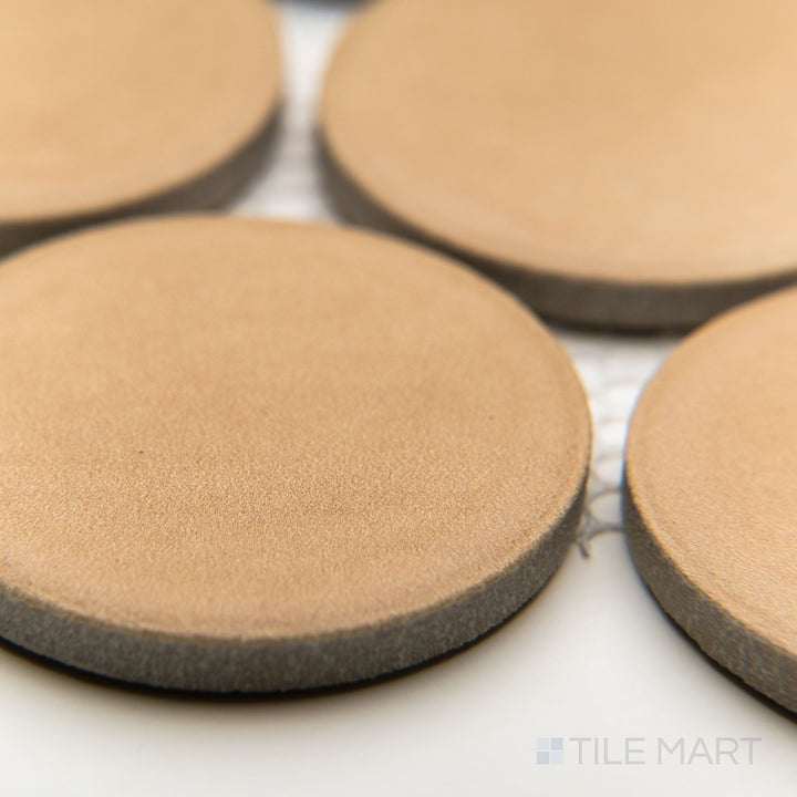 Angled shot of Amuri Biscotto 2" round porcelain tiles, showcasing their pebble-like layout and subtle surface texture.