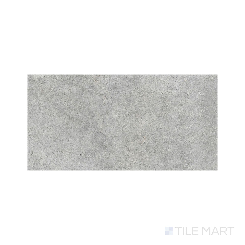 Flat-angle view of Richmond Silver 24X48 Matte Porcelain, emphasizing a cool, cloudy gray surface with soft tonal depth ideal for expansive floor coverage.