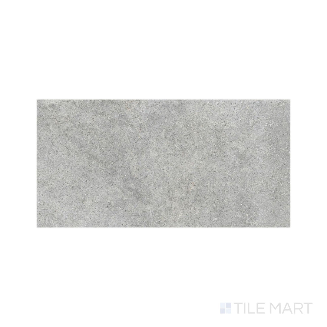 Flat-angle view of Richmond Silver 24X48 Matte Porcelain, emphasizing a cool, cloudy gray surface with soft tonal depth ideal for expansive floor coverage.