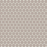 Marin Coastal Cliff 3/4" Penny Round Matte Porcelain Mosaic