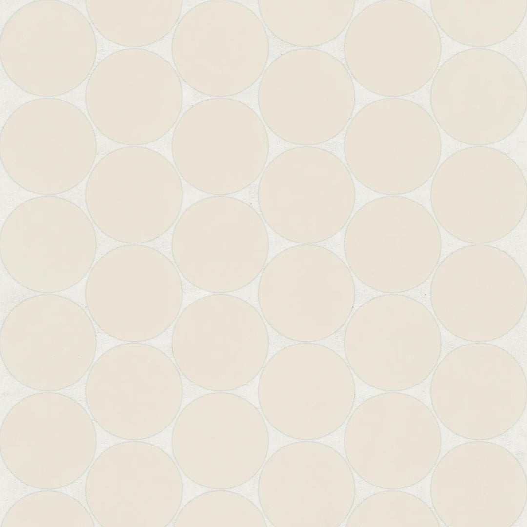 Aerial shot of Marin Sand Dollar 2