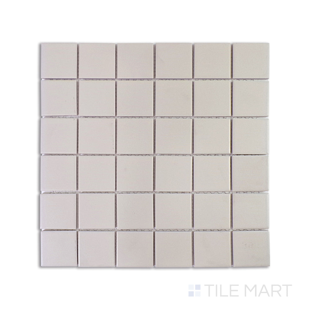 A detailed macro shot of Marin Sand Dollar 2