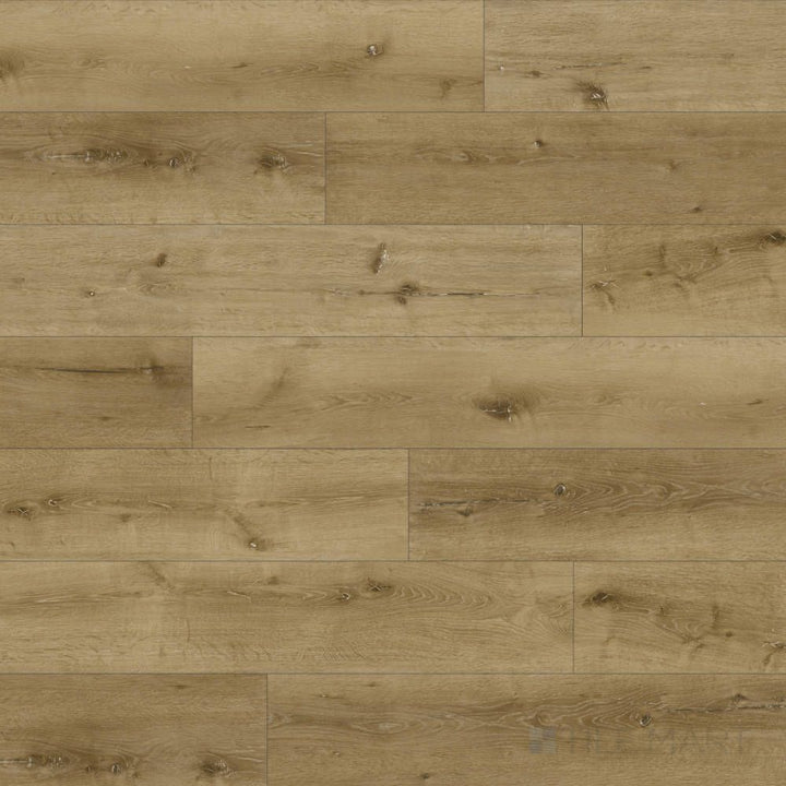Shorewood Driftwood 9x60 luxury vinyl plank displayed with a coastal-inspired weathered wood appearance.