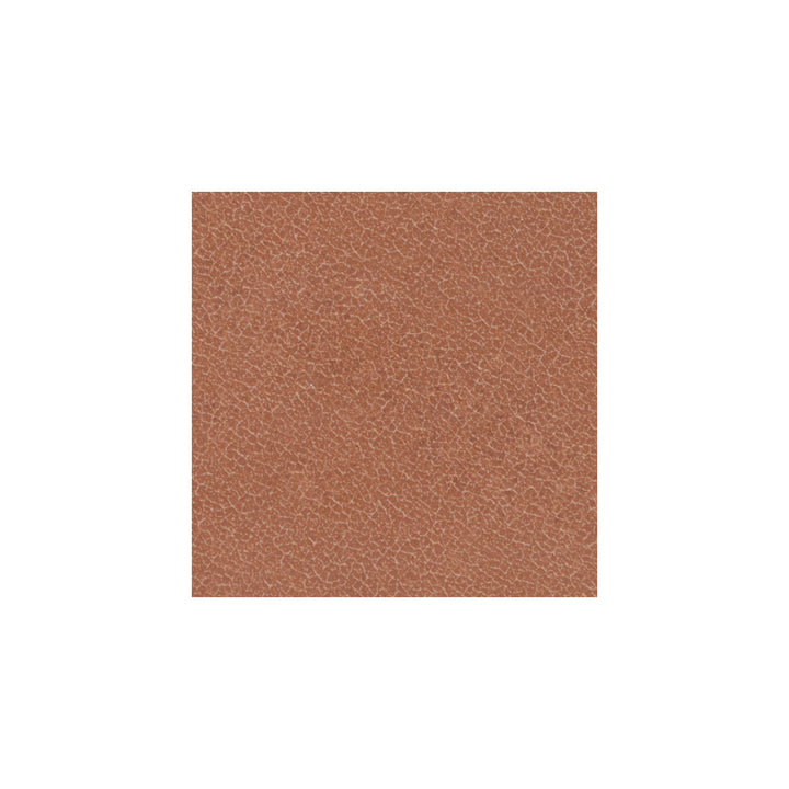 Inyo Floor Tile 8" Hex Ember Satin