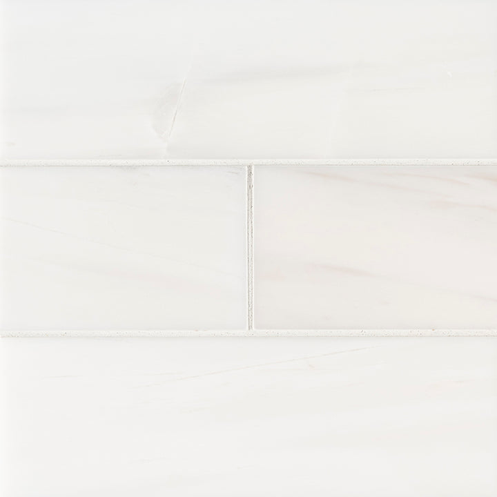 Top-down view of BIANCO DOLOMITE 4X12 MARBLE TILE in POLISHED finish, featuring the surface texture and natural color blend.