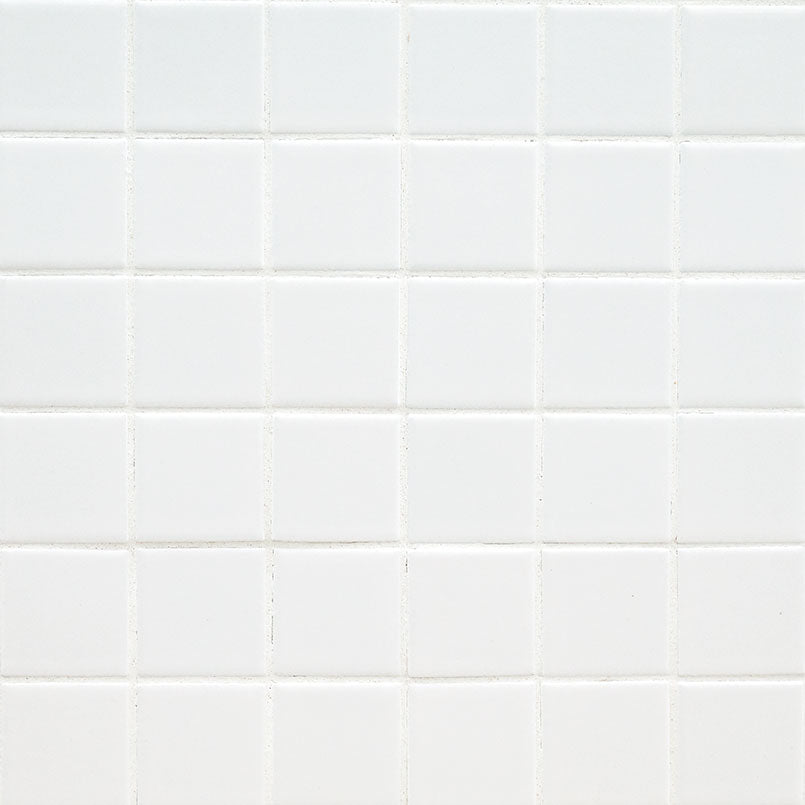 Top-down view of WHITE 2X2 MATTE in PORCELAIN MOSAIC with a MATTE finish, emphasizing its surface details and WHITE hues.